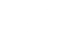 BBB Torch Awards for Ethics Finalist logo